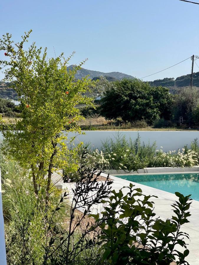 Casa Di Amerissa Premium Accommodation Skyros Buitenkant foto